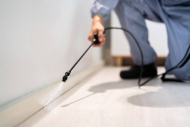 Licensed Pest Control service in Kingsley, MI - Show Me Pest Control